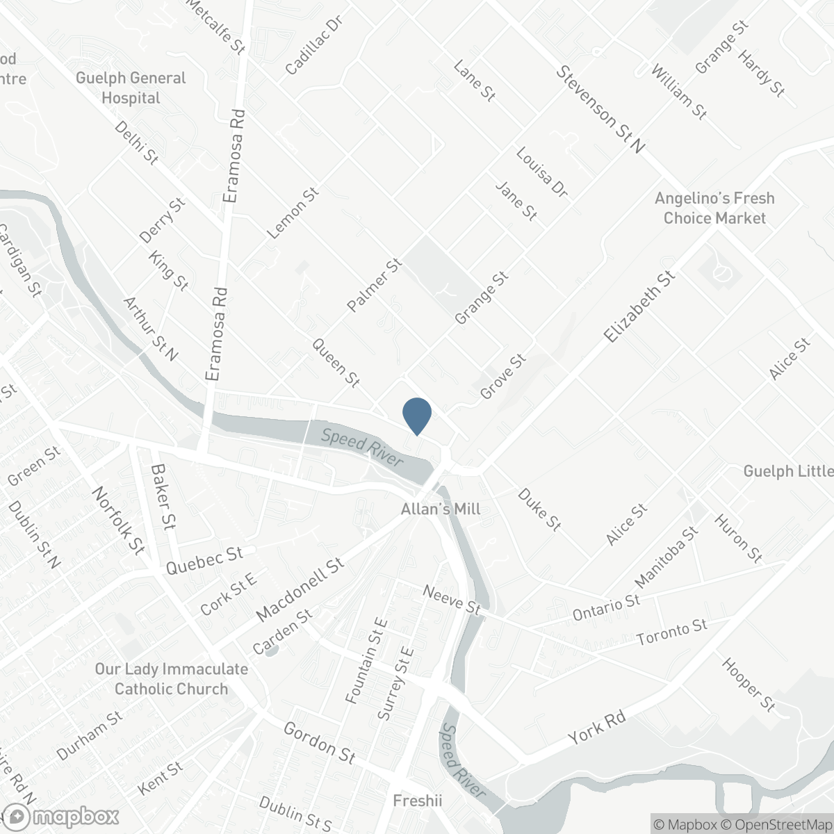 39 ARTHUR STREET N, Guelph, Ontario N1E 4T7